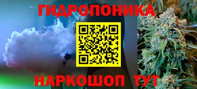 apvp Краснознаменск