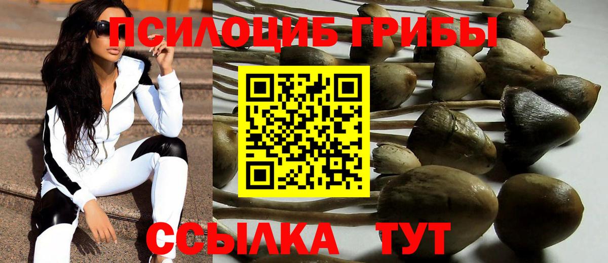 Псилоцибиновые грибы MAGIC MUSHROOMS  Галлюциногенные грибы Psilocybe  Вход с VPN  Клинцы 